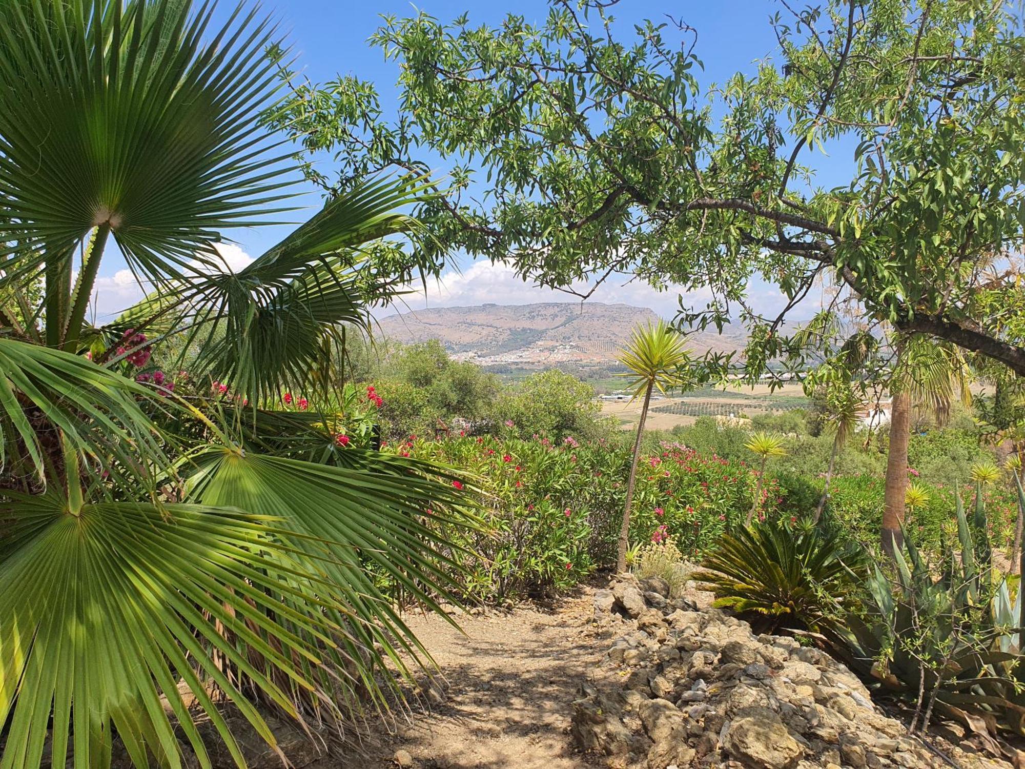 Finca Flamenco Holiday Suites Adults Only Pizarra Εξωτερικό φωτογραφία